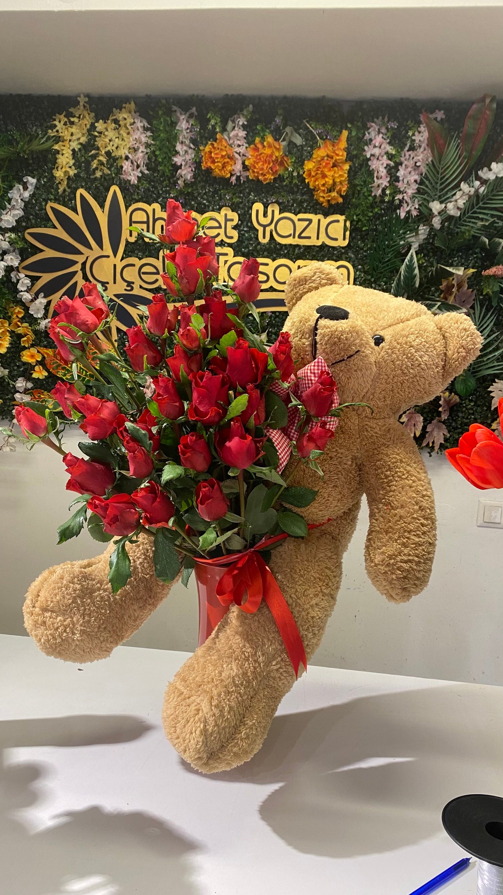 Yeni Bebek Çiçekleri 