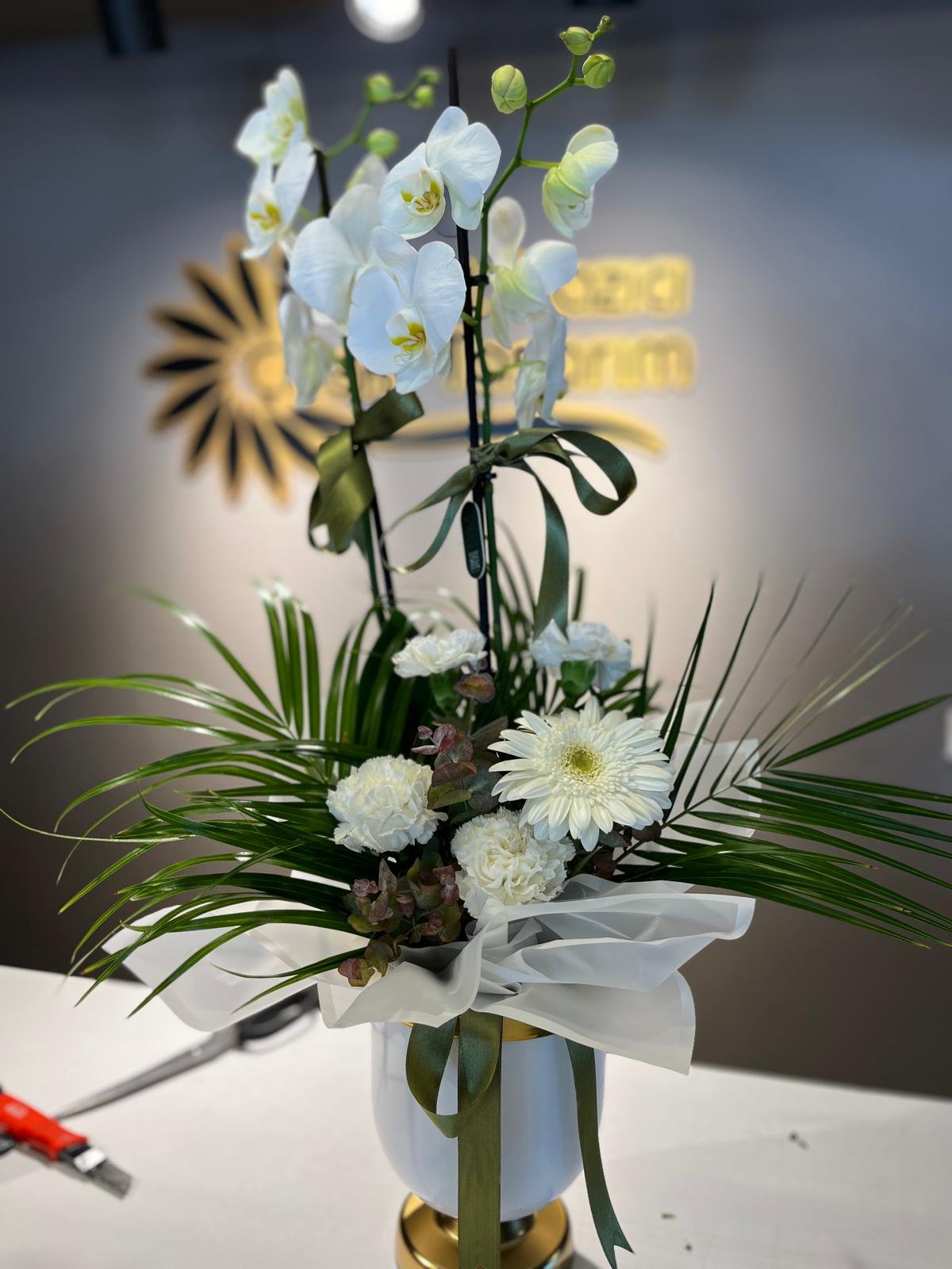 Özel saksıda grup beyaz orkide